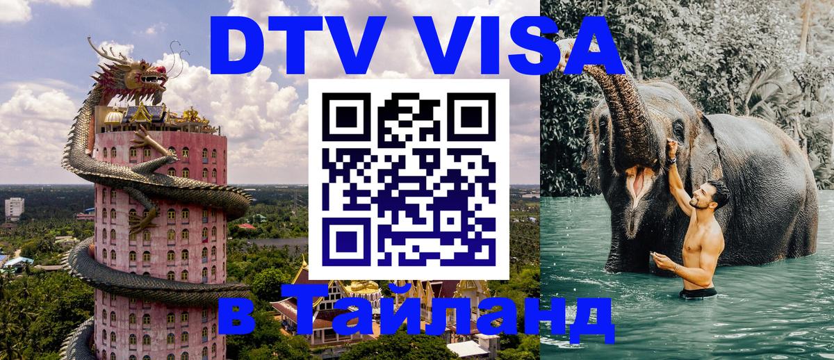 Оформление DTV визы под ключ: стоимость и тарифы, только загранпаспорт - 